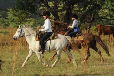 Rando Cheval - Voyage à cheval