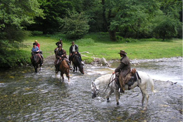 rencontres passionnés de chevaux