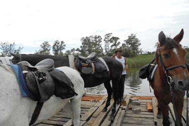 rencontre milieu cheval