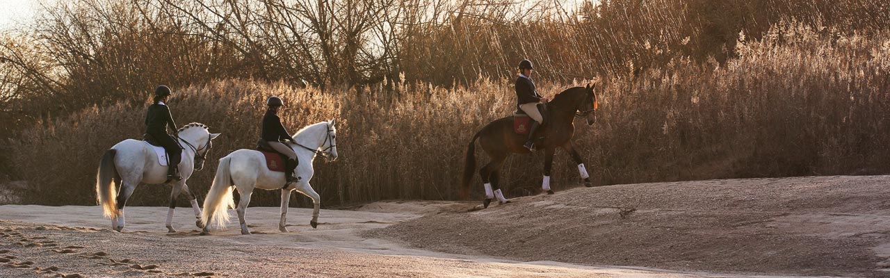 rencontres passionnés de chevaux