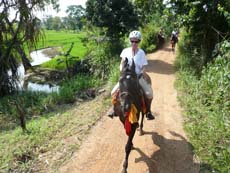 Randonnée équestre au Sri Lanka - A cheval dans les rizières du Triangle Culturel - Randocheval