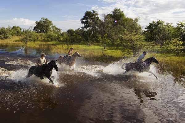 site rencontre monde cheval