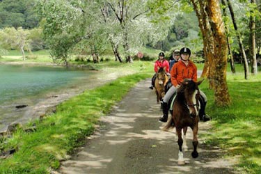 Voyage à cheval aux Açores sur Sao Miguel - Randonnée équestre organisée par Randocheval