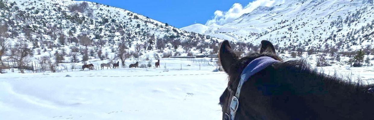 Rando Cheval en Savoie FRANCE - Voyage à cheval