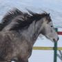 Randonn&eacute;e en Corse, Agriates - RANDOCHEVAL