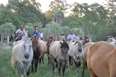 Rando Cheval - Voyage &agrave; cheval