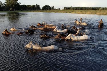 Rando Cheval - Voyage &agrave; cheval