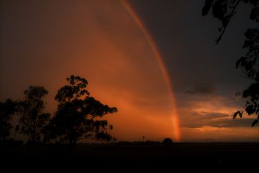 Rando Cheval - Voyage &agrave; cheval