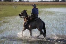 ARGENTINE - Estancia Cordoba - RANDO CHEVAL