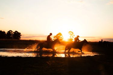 Rando Cheval - Voyage &agrave; cheval
