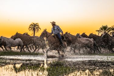 Rando Cheval - Voyage &agrave; cheval