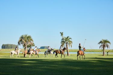 Rando Cheval - Voyage &agrave; cheval