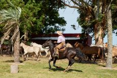 ARGENTINE - Estancia Cordoba - RANDO CHEVAL