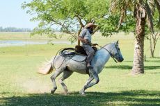 ARGENTINE - Estancia Cordoba - RANDO CHEVAL