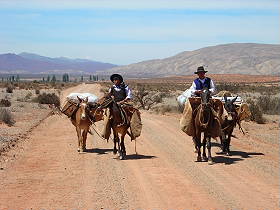 Photos de notre randonnée équestre dans la Cordillère des Andes (région de Salta et des Vallées Calchaquies) en Argentine - Rando Cheval