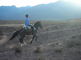 Photos de notre randonnée équestre dans la Cordillère des Andes (région de Salta et des Vallées Calchaquies) en Argentine - Rando Cheval