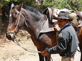 Photos de notre randonnée équestre dans la Cordillère des Andes (région de Salta et des Vallées Calchaquies) en Argentine - Rando Cheval