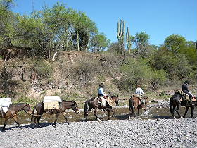 Photos de notre randonnée équestre dans la Cordillère des Andes (région de Salta et des Vallées Calchaquies) en Argentine - Rando Cheval