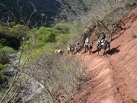 Photos de notre randonnée équestre dans la Cordillère des Andes (région de Salta et des Vallées Calchaquies) en Argentine - Rando Cheval