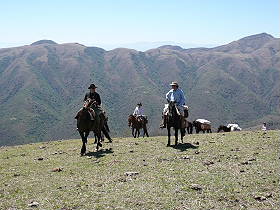 Photos de notre randonnée équestre dans la Cordillère des Andes (région de Salta et des Vallées Calchaquies) en Argentine - Rando Cheval