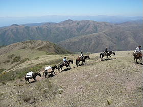 Photos de notre randonnée équestre dans la Cordillère des Andes (région de Salta et des Vallées Calchaquies) en Argentine - Rando Cheval