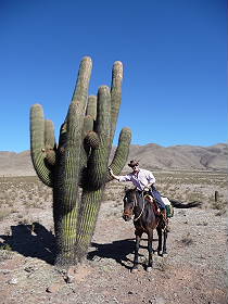 Photos de notre randonnée équestre dans la Cordillère des Andes (région de Salta et des Vallées Calchaquies) en Argentine - Rando Cheval