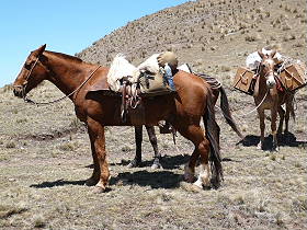 Photos de notre randonnée équestre dans la Cordillère des Andes (région de Salta et des Vallées Calchaquies) en Argentine - Rando Cheval