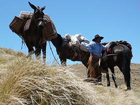 Photos de notre randonnée équestre dans la Cordillère des Andes (région de Salta et des Vallées Calchaquies) en Argentine - Rando Cheval