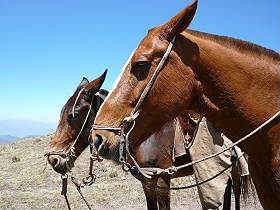 Photos de notre randonnée équestre dans la Cordillère des Andes (région de Salta et des Vallées Calchaquies) en Argentine - Rando Cheval