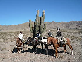 Photos de notre randonnée équestre dans la Cordillère des Andes (région de Salta et des Vallées Calchaquies) en Argentine - Rando Cheval