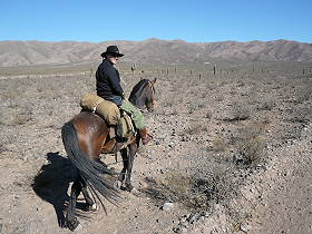 Photos de notre randonnée équestre dans la Cordillère des Andes (région de Salta et des Vallées Calchaquies) en Argentine - Rando Cheval