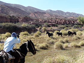 Photos de notre randonnée équestre dans la Cordillère des Andes (région de Salta et des Vallées Calchaquies) en Argentine - Rando Cheval