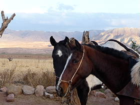 Photos de notre randonnée équestre dans la Cordillère des Andes (région de Salta et des Vallées Calchaquies) en Argentine - Rando Cheval