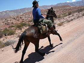 Photos de notre randonnée équestre dans la Cordillère des Andes (région de Salta et des Vallées Calchaquies) en Argentine - Rando Cheval