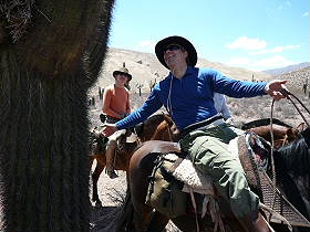 Photos de notre randonnée équestre dans la Cordillère des Andes (région de Salta et des Vallées Calchaquies) en Argentine - Rando Cheval