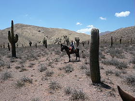 Photos de notre randonnée équestre dans la Cordillère des Andes (région de Salta et des Vallées Calchaquies) en Argentine - Rando Cheval