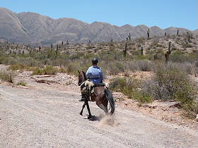 Photos de notre randonnée équestre dans la Cordillère des Andes (région de Salta et des Vallées Calchaquies) en Argentine - Rando Cheval