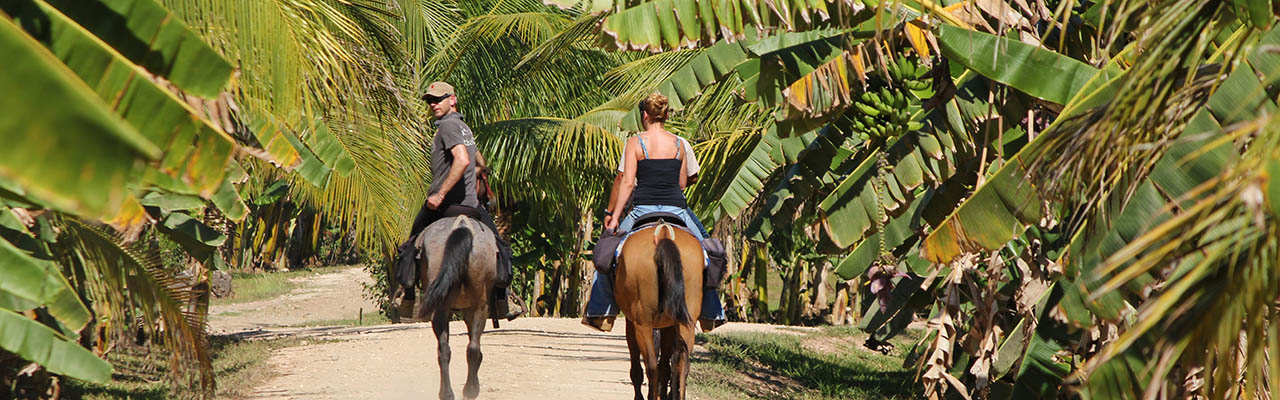 Voyage à cheval au Belize - Randonnée équestre organisée par Randocheval