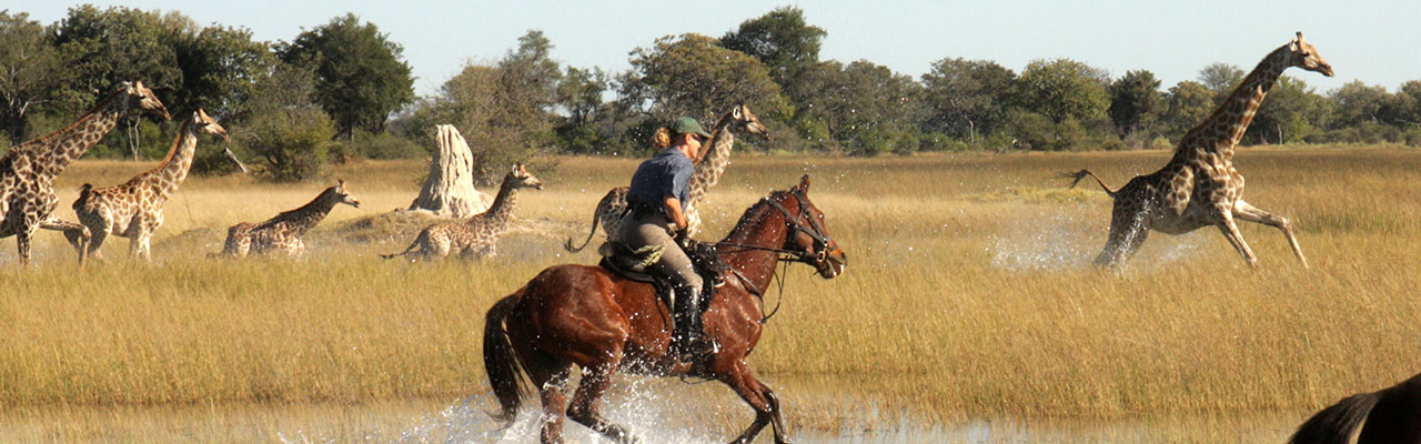 Voyage &agrave; cheval - Randonn&eacute;e &eacute;questre organis&eacute;e par Randocheval