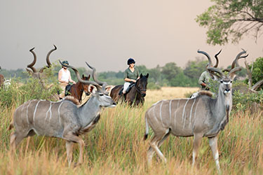 Rando Cheval - Voyage &agrave; cheval