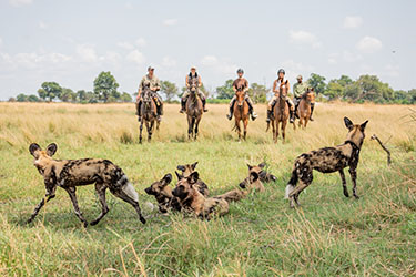 Rando Cheval - Voyage &agrave; cheval