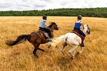 Rando Cheval - Voyage &agrave; cheval