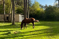 Randonn&eacute;e &eacute;questre, Bourgogne les 3 Rivi&egrave;res - RANDOCHEVAL 
