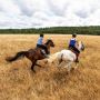 Rando Cheval - Voyage &agrave; cheval