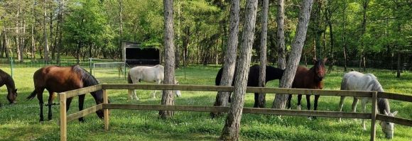 Randonn&eacute;e &eacute;questre, Bourgogne les 3 Rivi&egrave;res - RANDOCHEVAL 