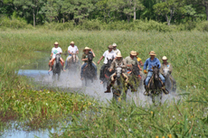 Grand galop dans le Pantanal - RANDOCHEVAL