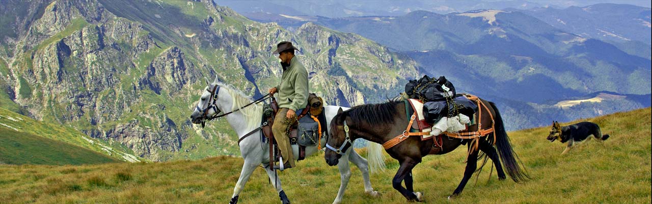 Voyages à cheval en famille par Rando Cheval