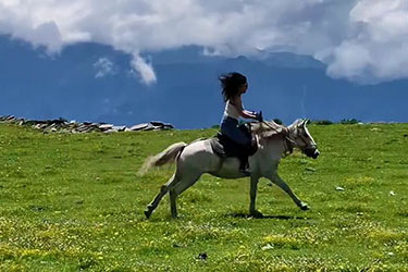 Rando Cheval au Portugal - Voyage à cheval et stage de dressage