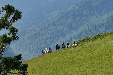 Rando Cheval au Portugal - Voyage à cheval et stage de dressage