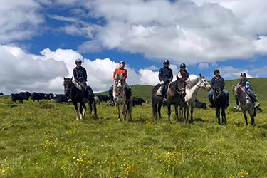 Rando Cheval au Portugal - Voyage à cheval et stage de dressage